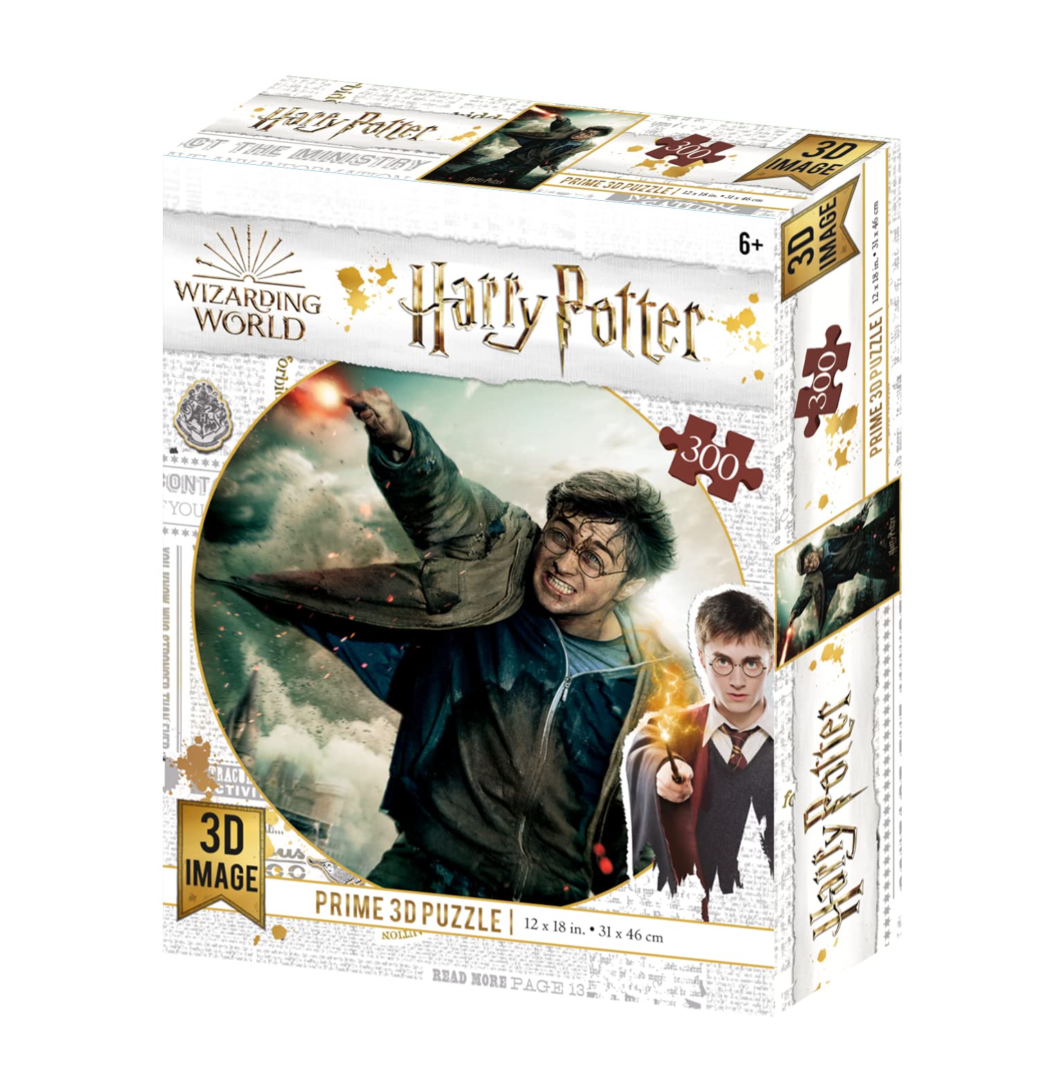Harry Potter (3D Puzzle) (300pcs)