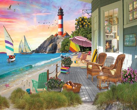 PFG Beach Vacation, David M (Usage/Used - PUZZLES FOR GOOD)