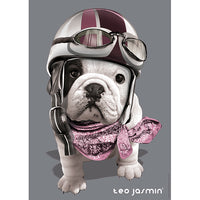 Collection Photo d'art - Téo Racing (1000pcs)