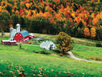 PFG Country Collection - Fall Farm (550pcs) (Usage/Used - PUZZLES FOR GOOD)