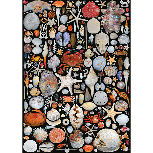 Seaside Goods (1000pcs)