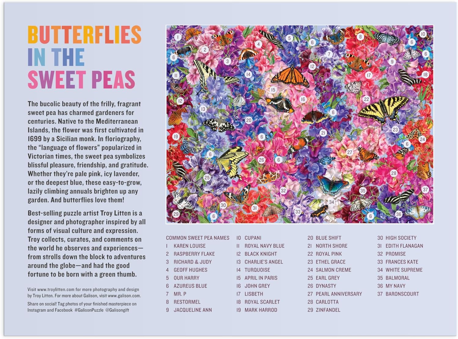 Butterflies in the Sweet Peas (1000pcs)