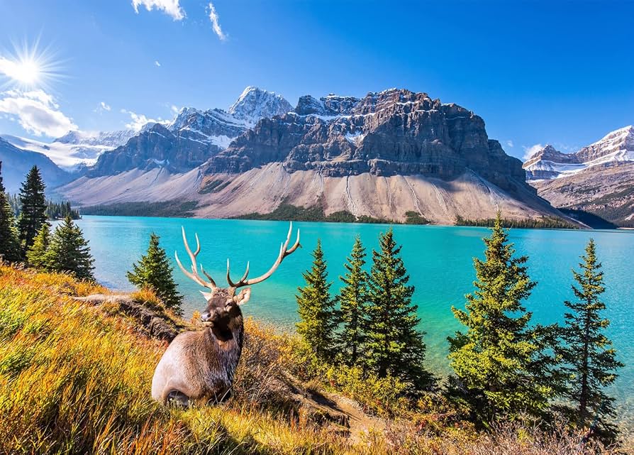 PFG Lac des Montagnes Rocheuses (Usagé/Used - PUZZLES FOR GOOD)