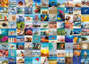 PFG Ravensburger Ninety-Nine - Seaside Moments (1000pcs) (Usage/Used - PUZZLES FOR GOOD)