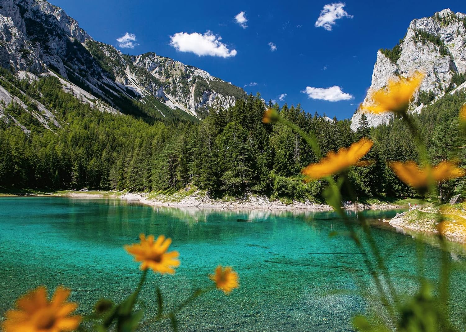 Ravensburger Osterreich Collection - Green Lake near Tragöss (1000pcs)