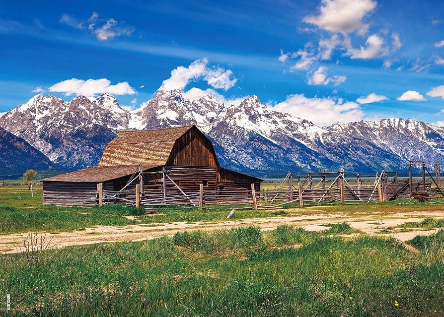 PFG Grand Teton National Park (Usage/Used - PUZZLES FOR GOOD)