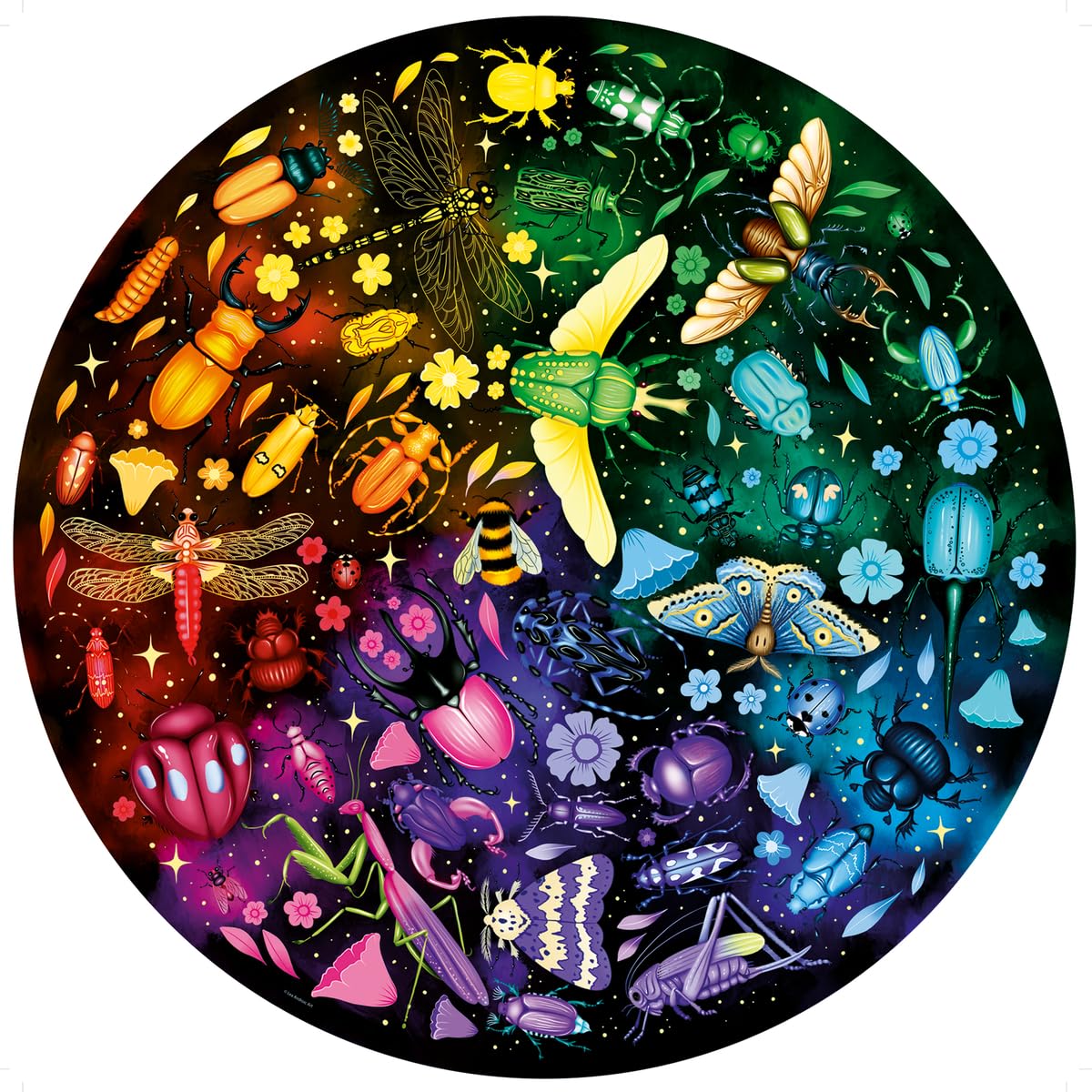 Cercle de couleurs de Ravensburger - insectes (500pcs)