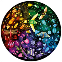 DMG Ravensburger Circle de couleurs - insectes (500pcs) (boîte endommagée)