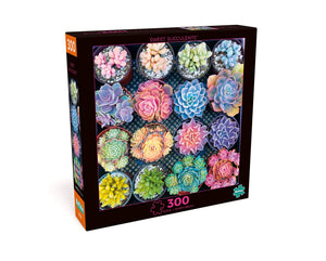 PFG Sweet Succulents (300pcs) (Usage/Used - PUZZLES FOR GOOD)