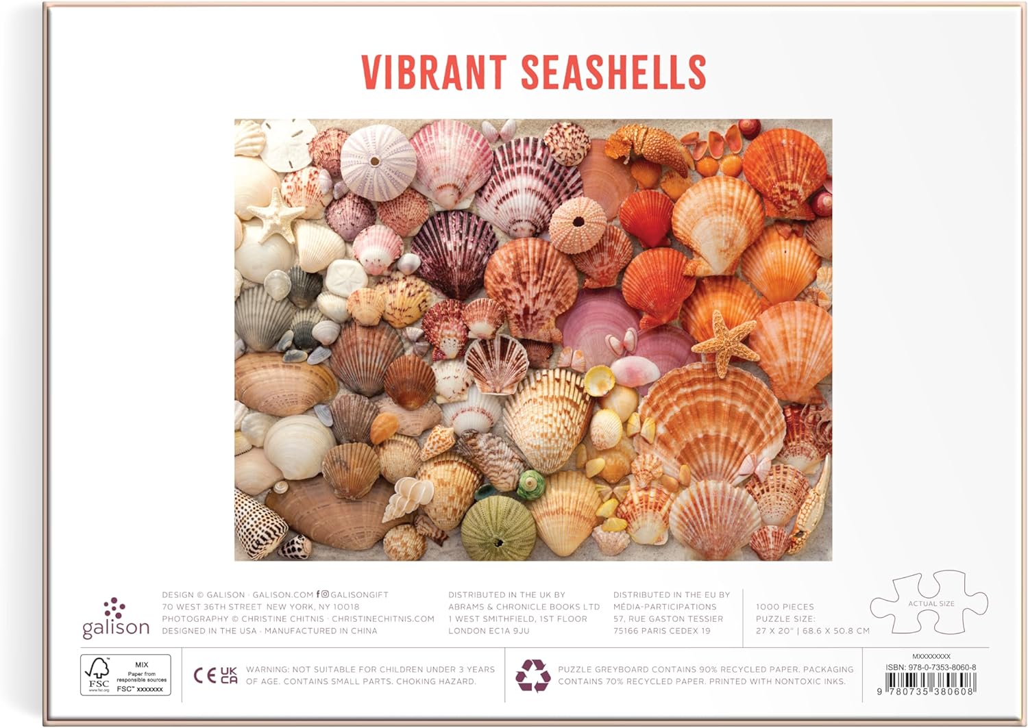 Coquillages dynamiques (1000 pc)