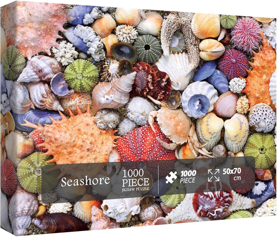 PFG Seashore (1000pcs) (Usage/Used - PUZZLES FOR GOOD)