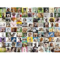 PFG Ravensburger 99 Loveable Dogs (1000pcs) (Usage/Used - PUZZLES FOR GOOD)