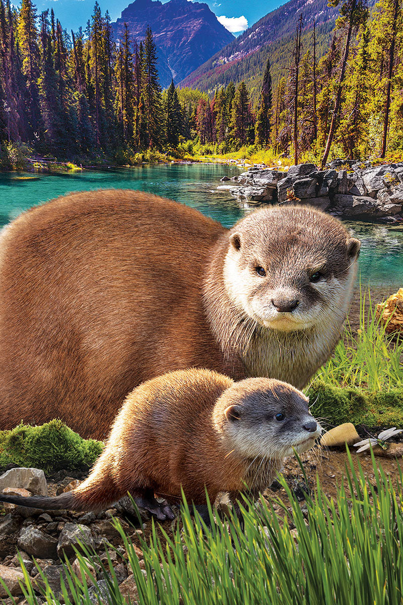 Otters - Save Our Planet Collection (250pcs)