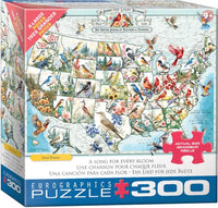 A Song for Every Bloom (300pcs)