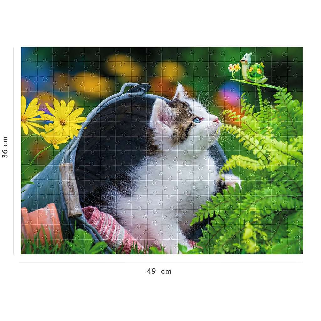 Petit chaton curieux (250pcs)