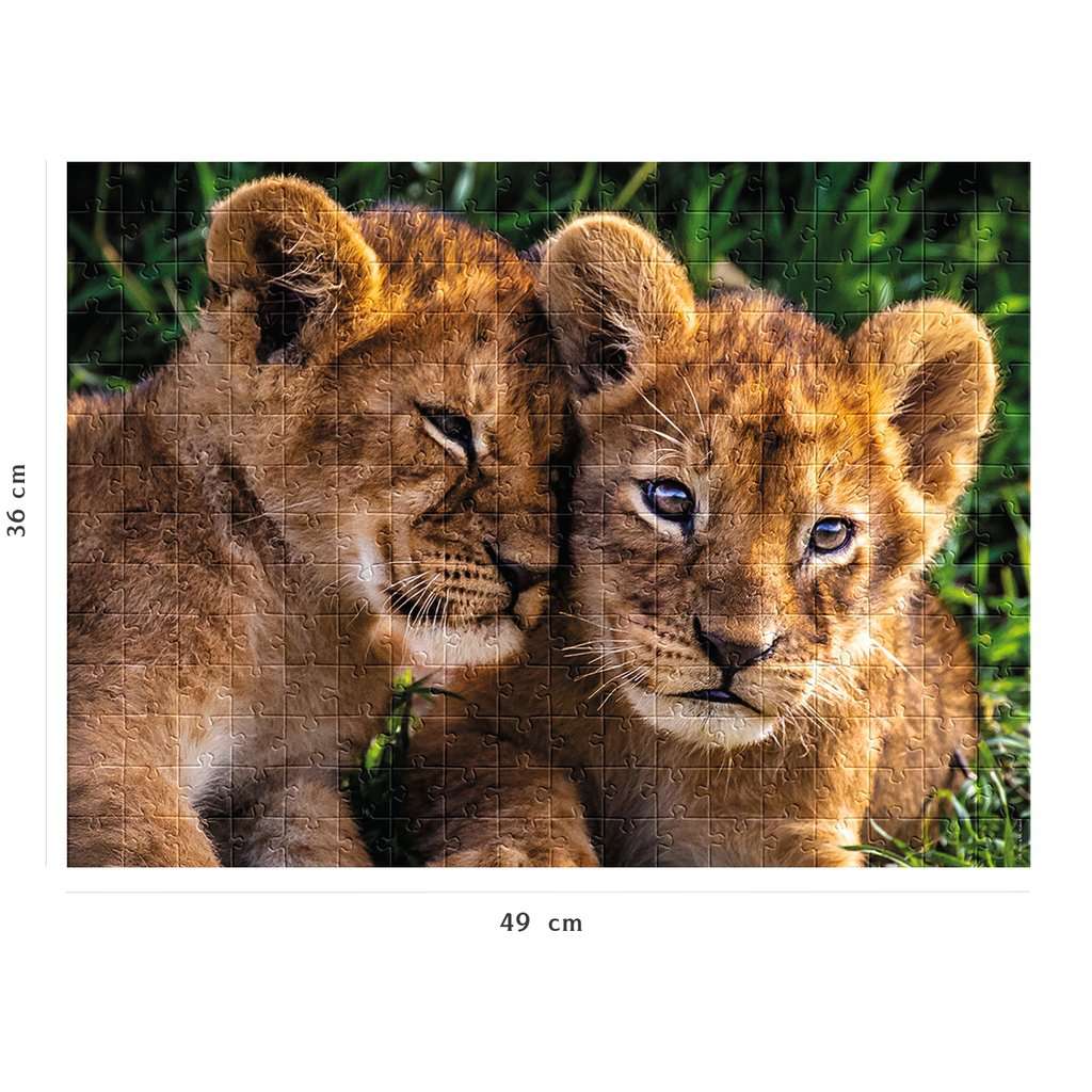 Adorables lionceaux (250pcs)