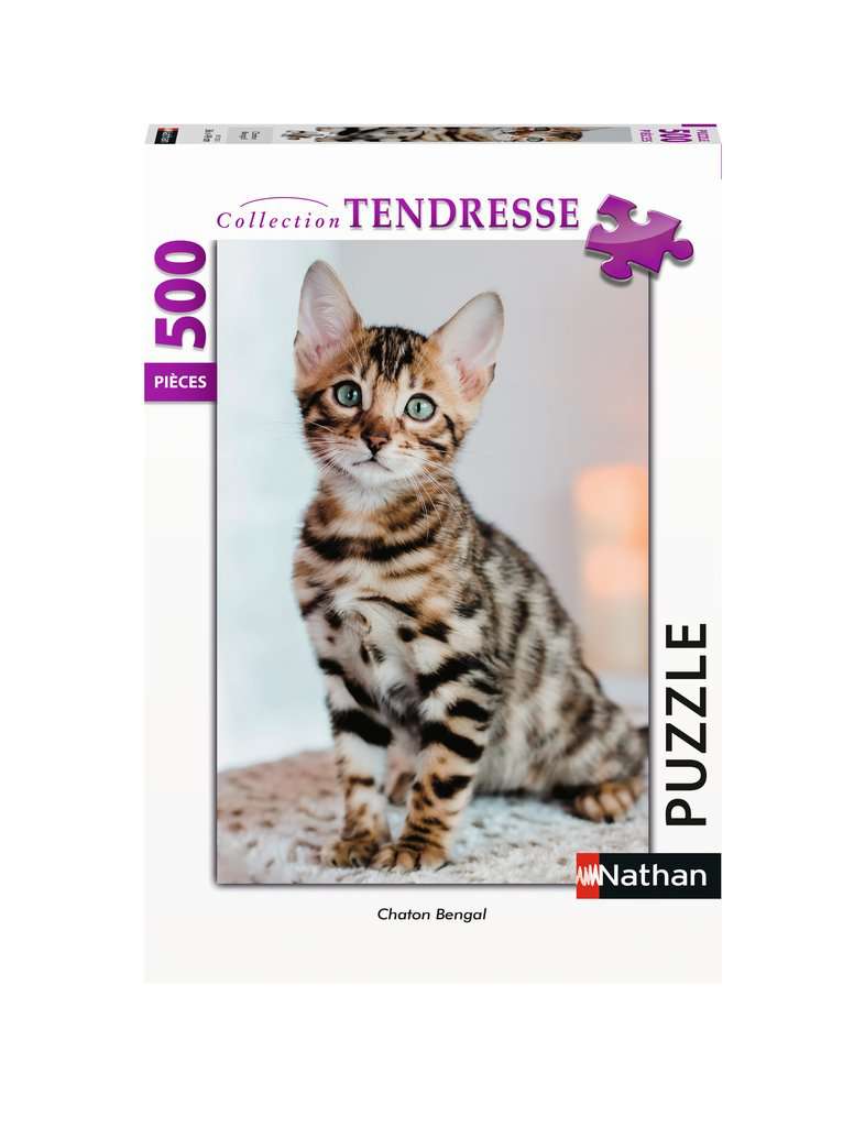 Chaton Bengal (500pcs)