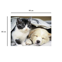 Réveille-toi (500pcs)