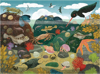 PFG Rock Pool (Usage/Used - PUZZLES FOR GOOD)