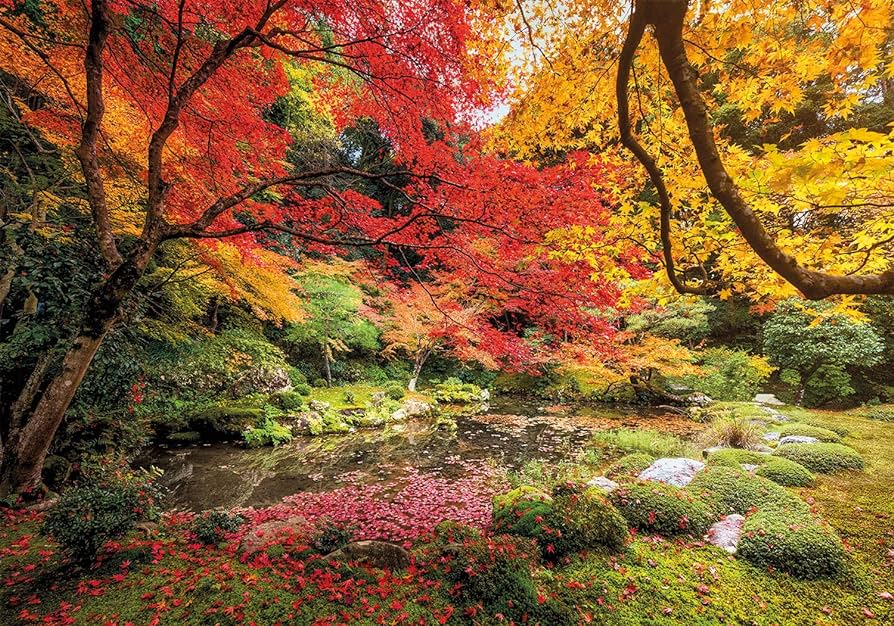 Park d'automne (1500pcs)