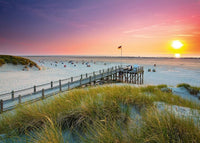 Collection Ravensburger Deutschland - Sunset sur Amrum (1000pcs)