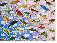 Salty Birds (1000pcs)