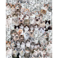 PFG Cat World (utilisation / utilisée - puzzles pour de bon)
