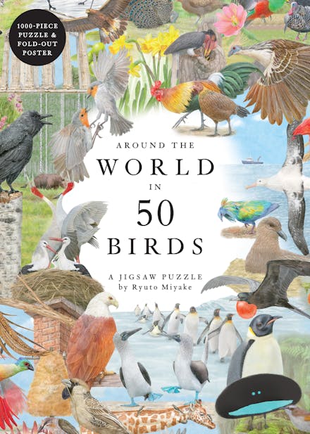 Around the World in 50 Birds (1000pcs)