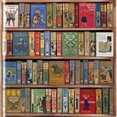 PFG High Jinks! Bookshelves (Usage/Used - PUZZLES FOR GOOD)