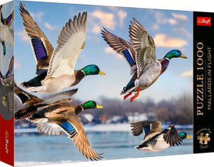 Mallards in Flight (1000pcs)