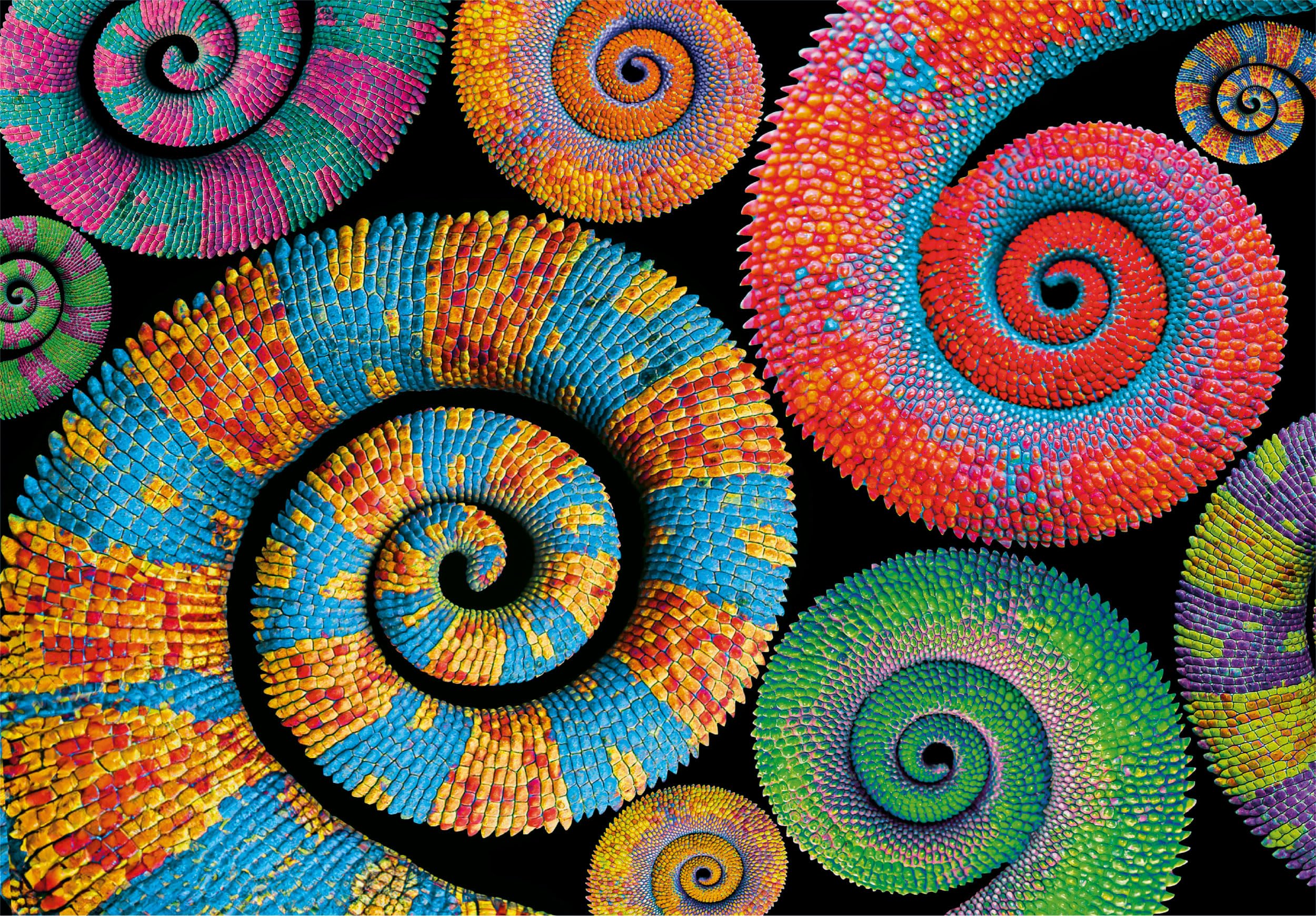 Colorboom - Curly Tails (500pcs)