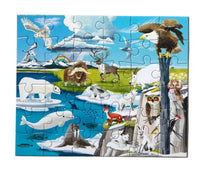 Mini - Wild Habitats - Tundra (36pcs)