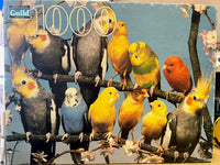 Oiseaux PFG sur une branche (utilisation / utilisée - puzzles pour de bon)