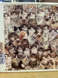 Mur de chat PFG (utilisation / utilisée - puzzles pour de bon)