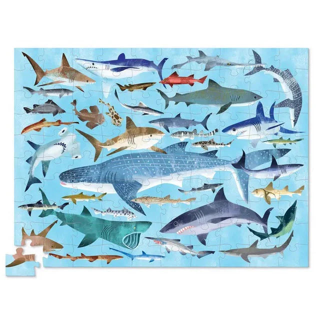 Shark World (100pcs)