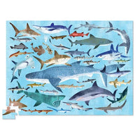 Shark World (100pcs)