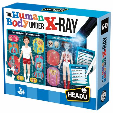 The Human Body under X-Ray (Educational Puzzle)