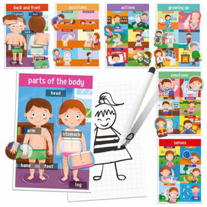 Comment nous sommes faits (puzzle éducatif)