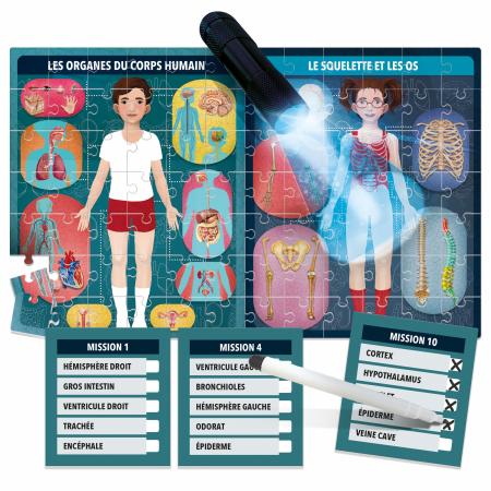 Le Corps Humain aux Rayons X (Educational Puzzle)
