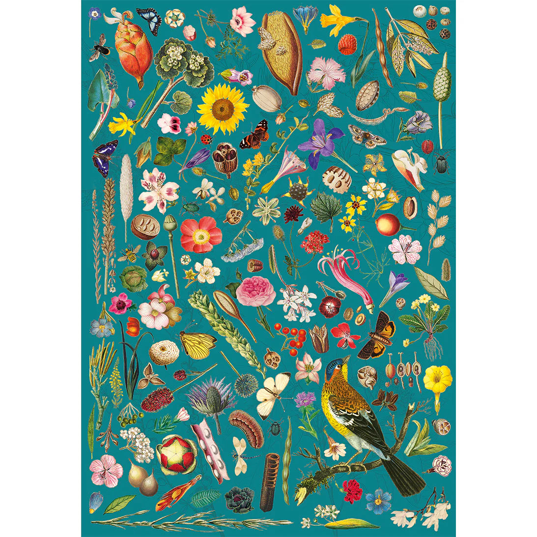 DMG Floral Fantasy - The Royal Horticultural Society (500pcs) (DAMAGED BOX)