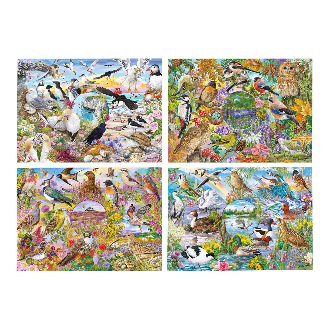 Wings in the Wild, RSPB (4x500pcs)