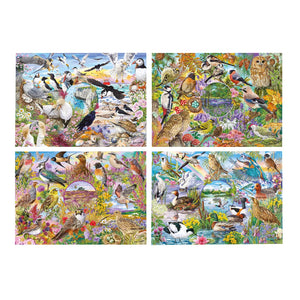 Wings in the Wild, RSPB (4x500pcs)