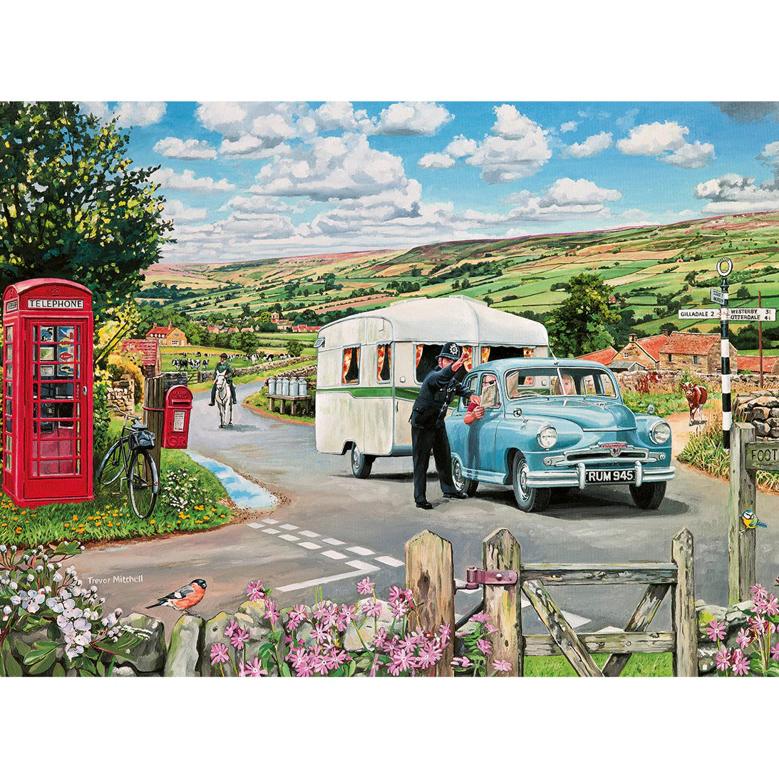 Which Way to the Campsite?, Trevor Mitchell (1000pcs)