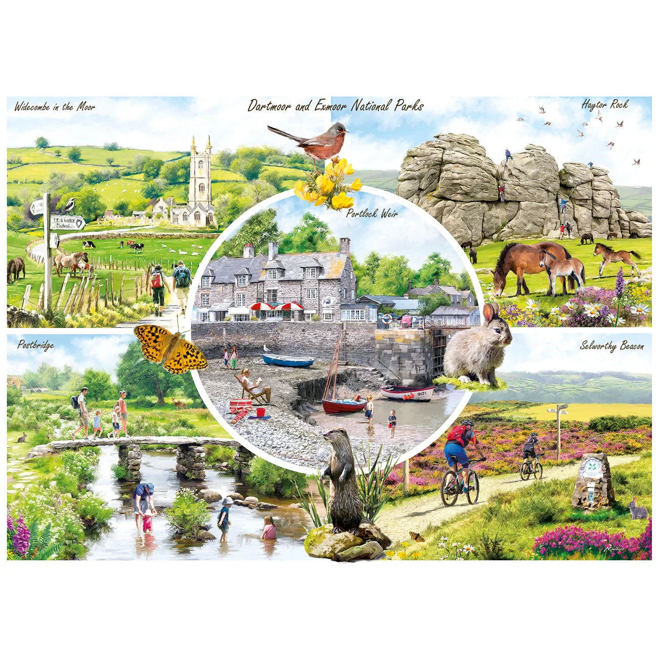 Dartmoor & Exmoor, Richard Macneil (1000pcs)