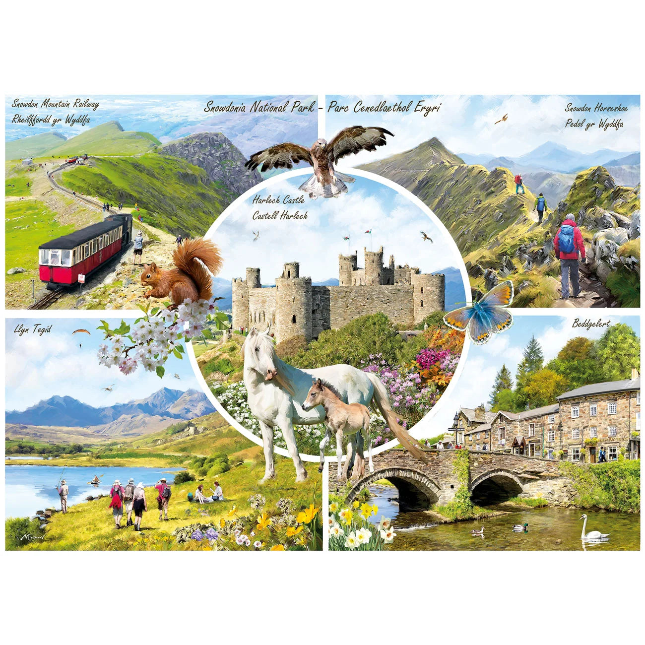 Snowdonia, Richard Macneil (1000pcs)