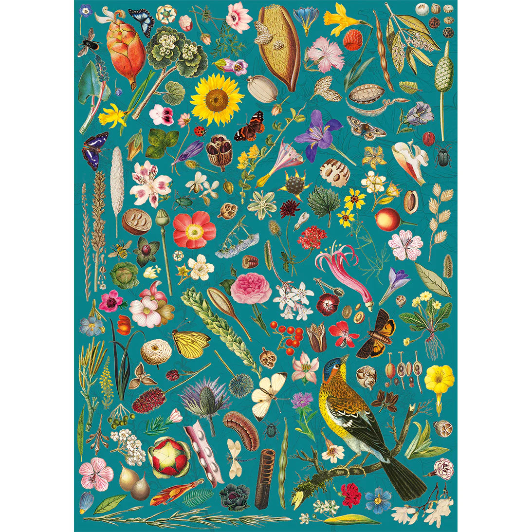 Floral Fantasy - The Royal Horticultural Society (1000pcs)