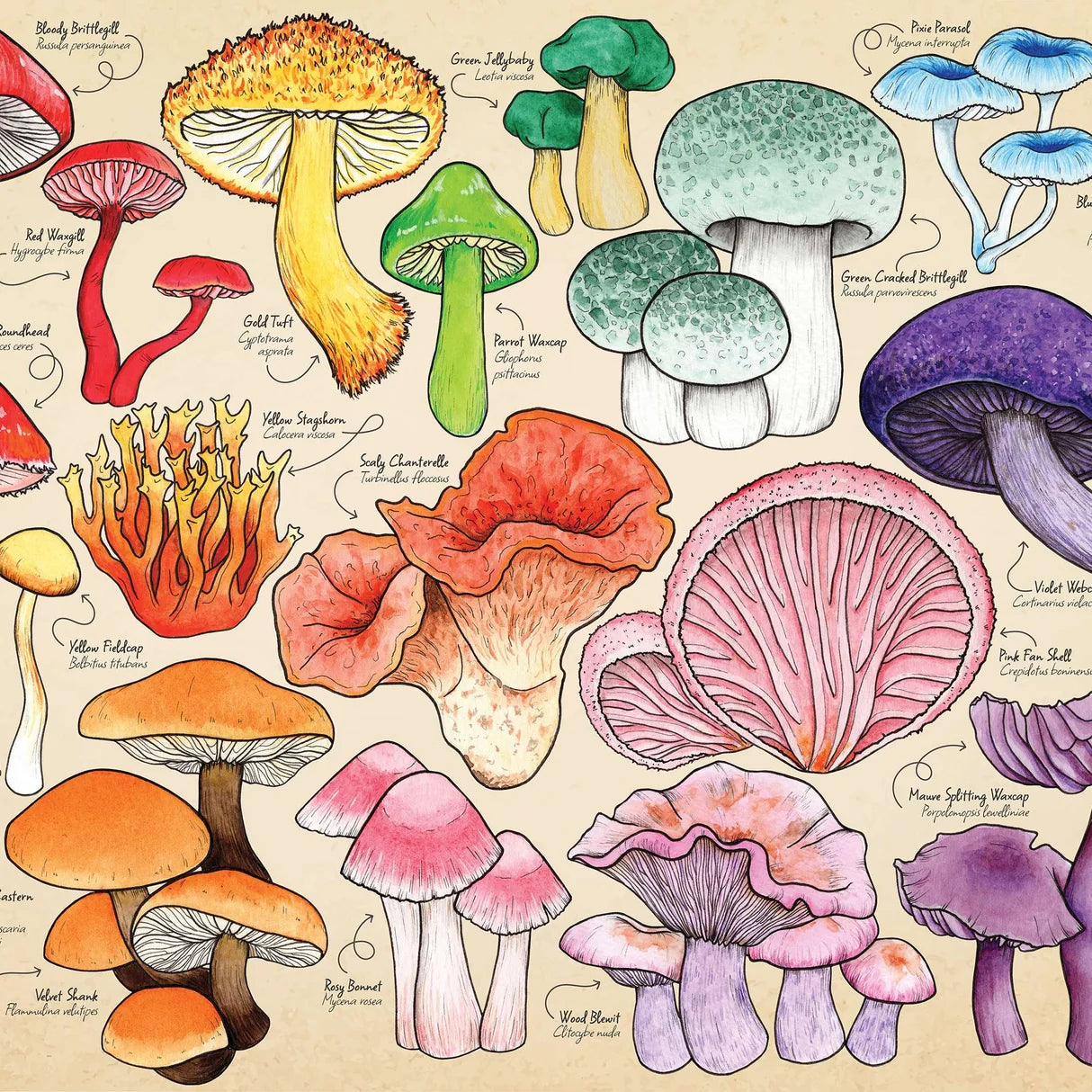 Mini - Mushroom Mania (150pcs)
