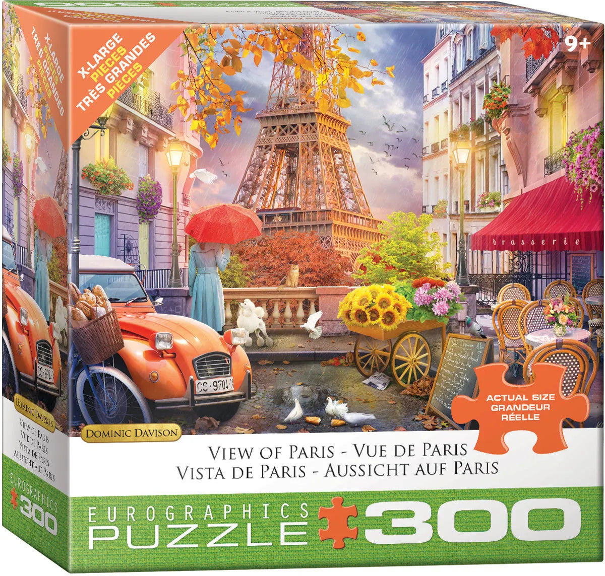 View of Paris (300XL)