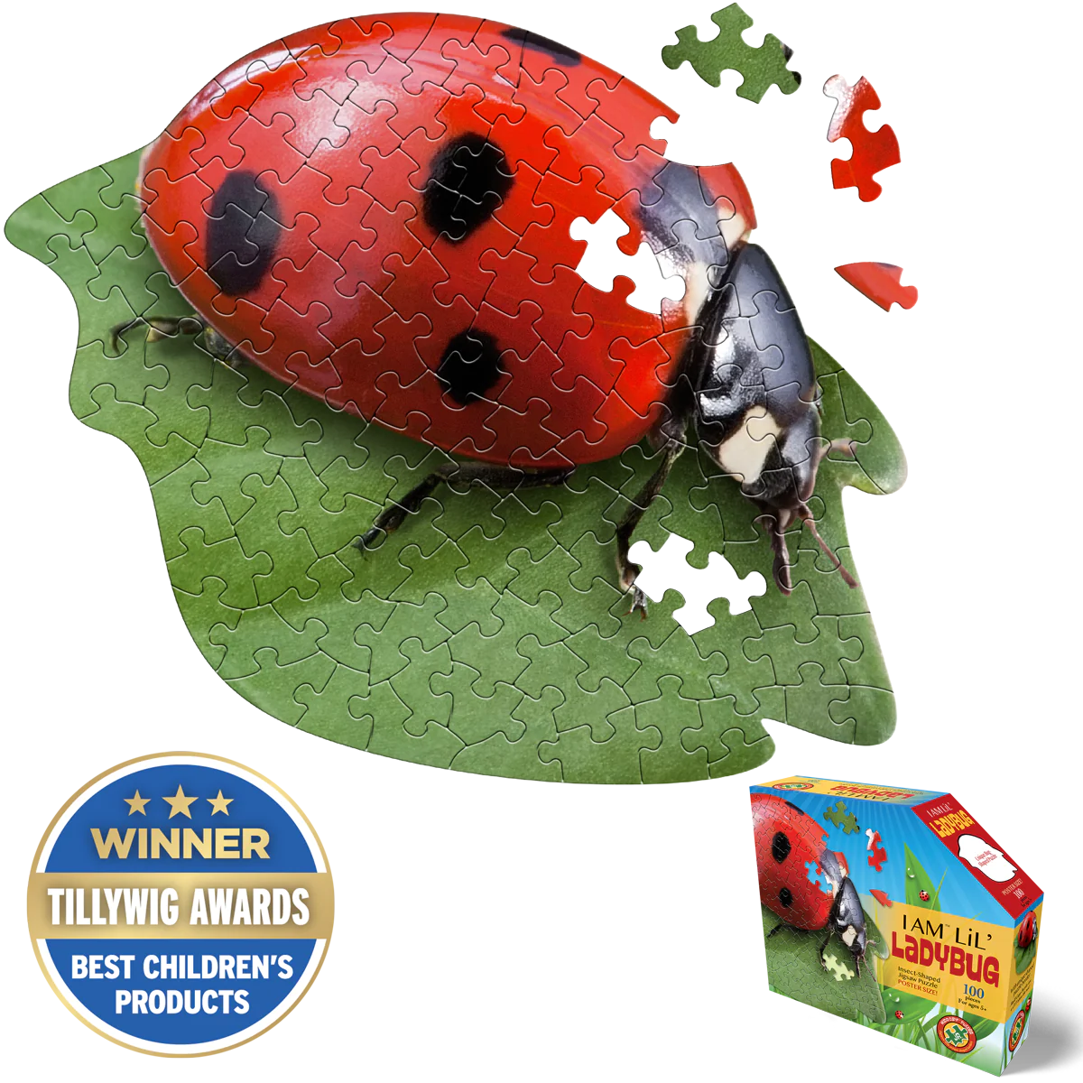 I Am Lil’ Ladybug (100pcs)