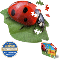 I Am Lil’ Ladybug (100pcs)